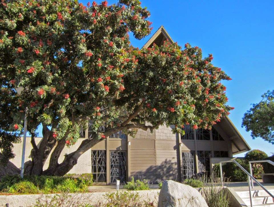 Camarillo United Methodist Church | 291 Anacapa Dr, Camarillo, CA 93010, USA | Phone: (805) 482-4312