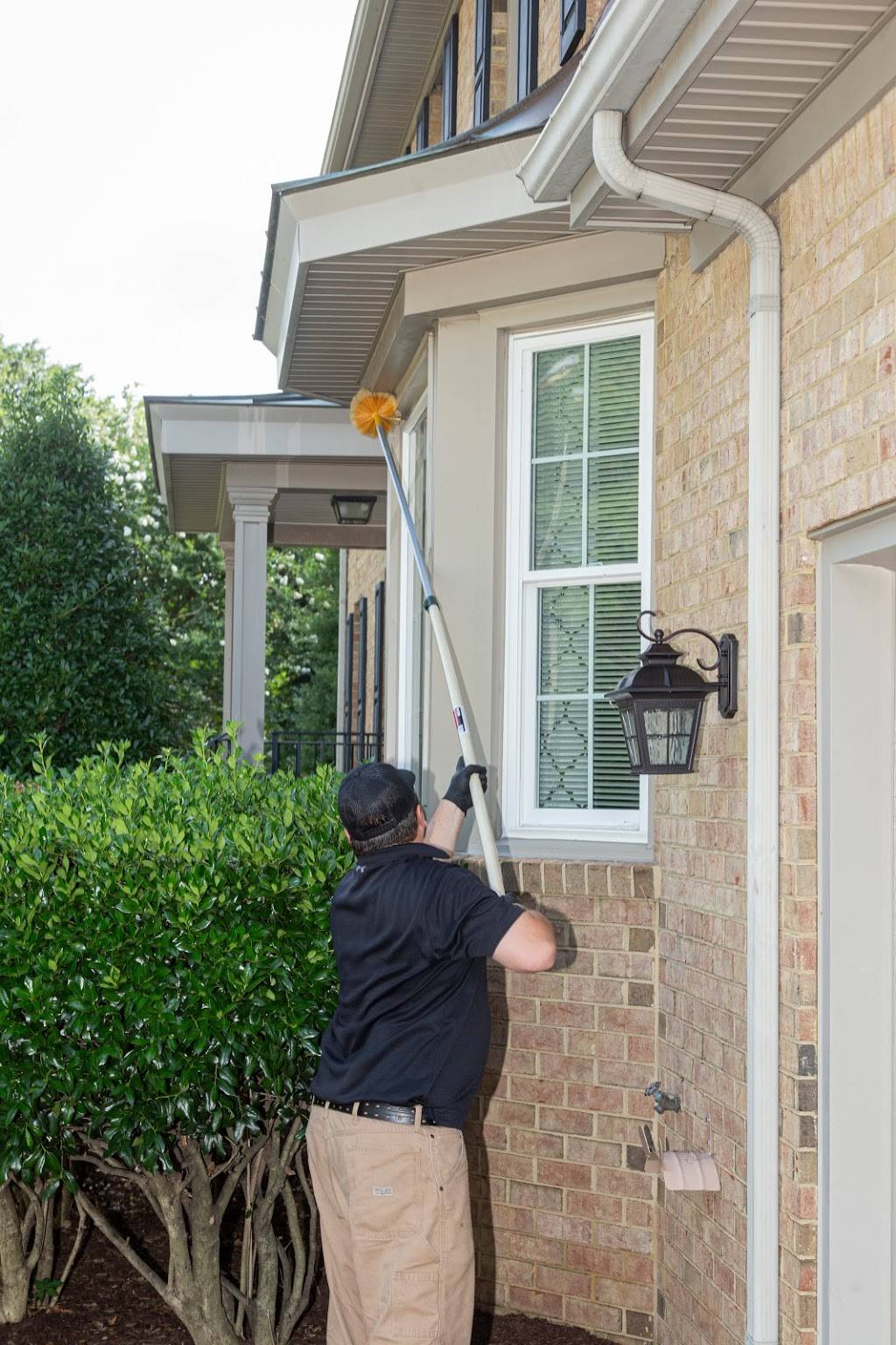 Diamond Exterminators | 4544 Bainbridge Blvd, Chesapeake, VA 23320, USA | Phone: (757) 545-2001