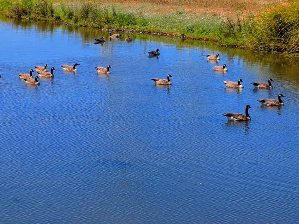 San mateo park | 1701 Coyote Point Dr, San Mateo, CA 94401, USA