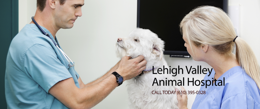 Lehigh Valley Animal Hospital | 6350 Tilghman St, Allentown, PA 18106 | Phone: (610) 395-0328