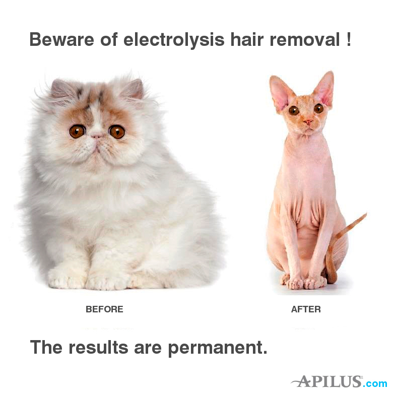 The Best Electrolysis | Delaney Salons, 120 S Denton Tap Rd Suite 305, Coppell, TX 75019, USA | Phone: (214) 232-2914