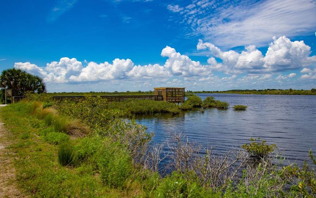 Allan Cruickshank Trail | Florida, USA