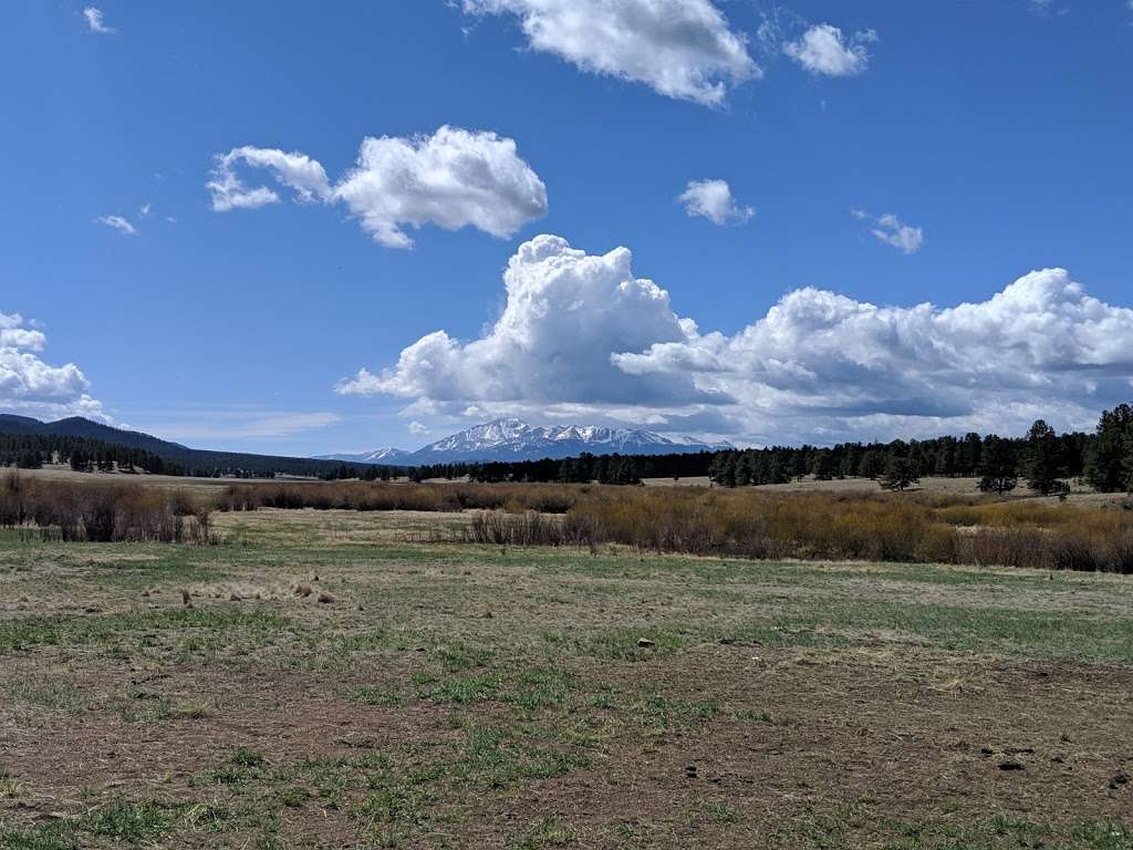 Rainbow Falls Mountain Trout Rec Area | 14918 CO-67, Sedalia, CO 80135, USA