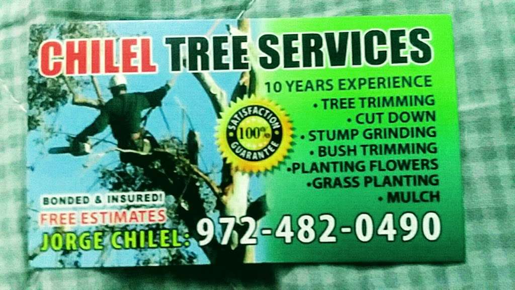 Chilel Tree service | 1401 Rice Dr, Plano, TX 75074, USA | Phone: (972) 482-0490