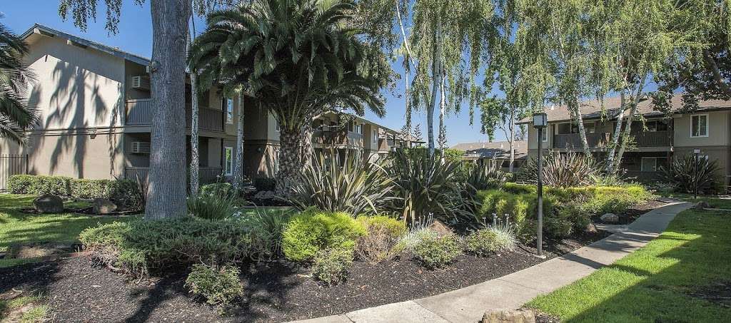 Villa Palms Apartment Homes | 51 Murdell Ln, Livermore, CA 94550 | Phone: (925) 709-4903