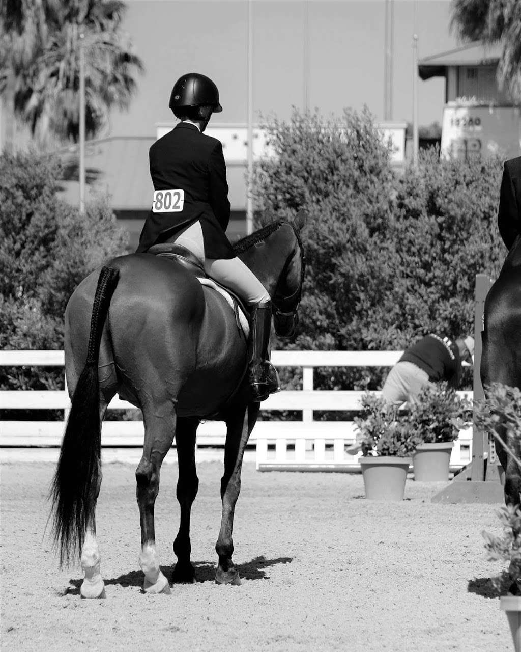 Fieldstone Riding Club | 3566 Sunset Valley Rd, Moorpark, CA 93021 | Phone: (805) 529-9474