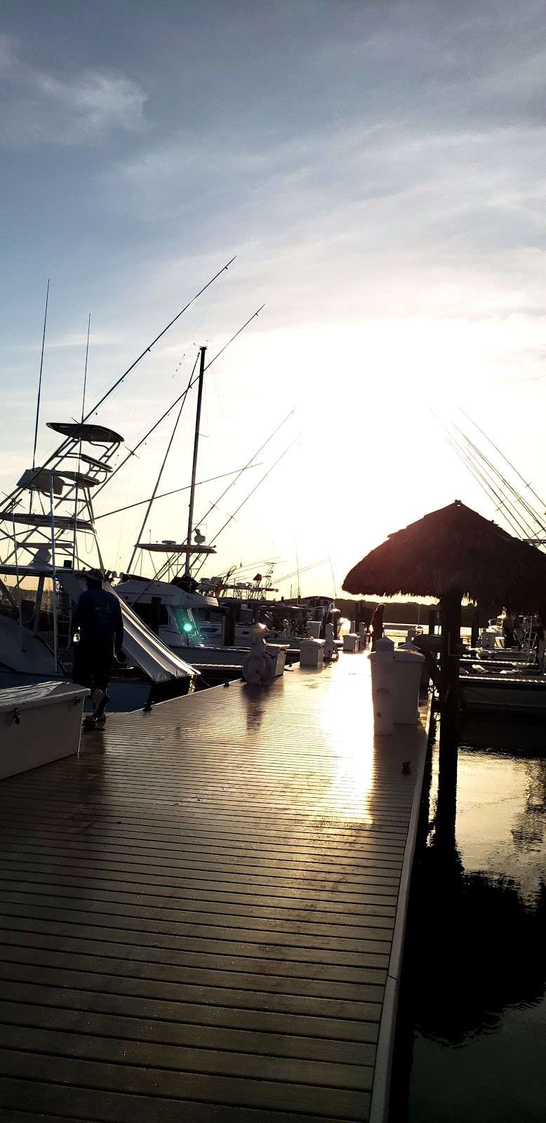 Blowing Rocks Marina/Tiki Bar | 18487 SE Federal Hwy, Jupiter, FL 33469 | Phone: (561) 746-3312