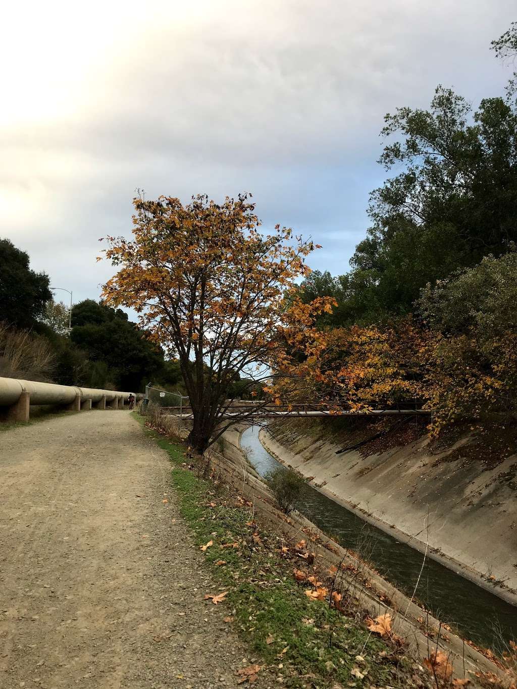 Los Gatos Creek Trail | 17350-17770 Alma Bridge Rd, Los Gatos, CA 95030, USA