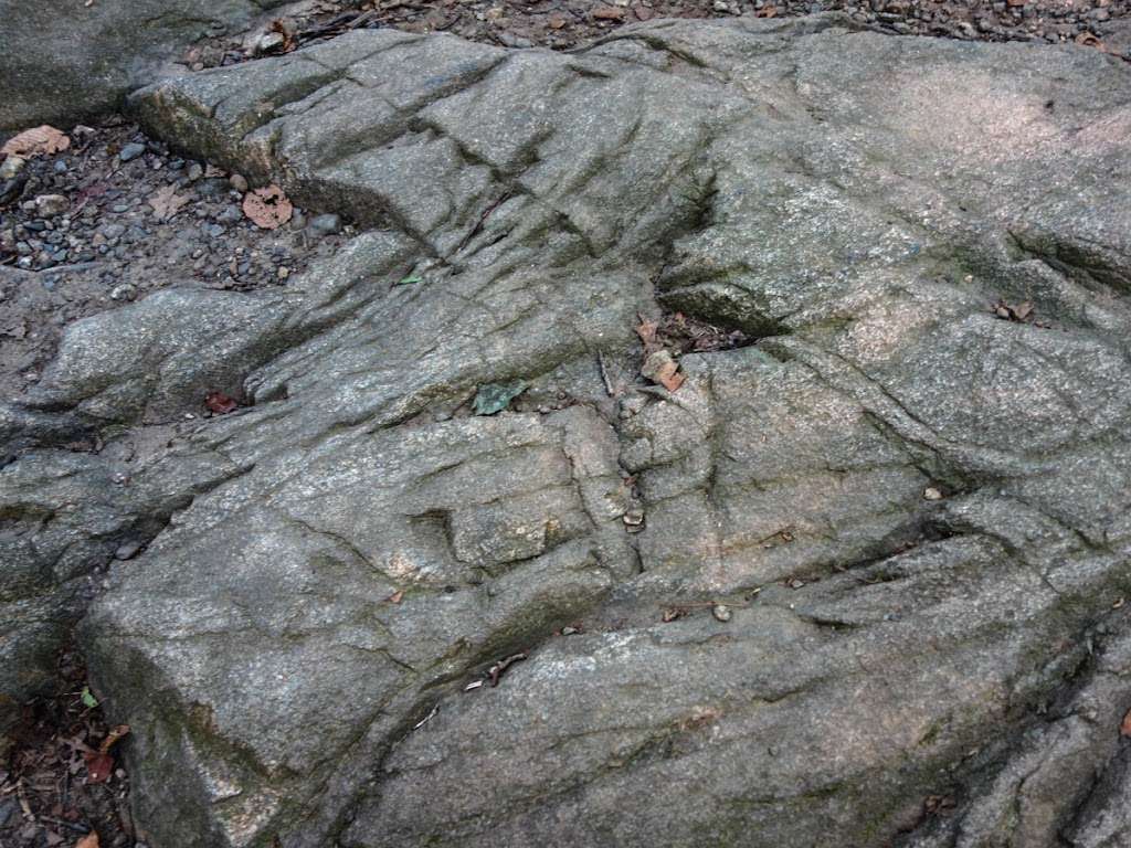 Ramapo Lake Trailhead | Oakland, NJ 07436, USA