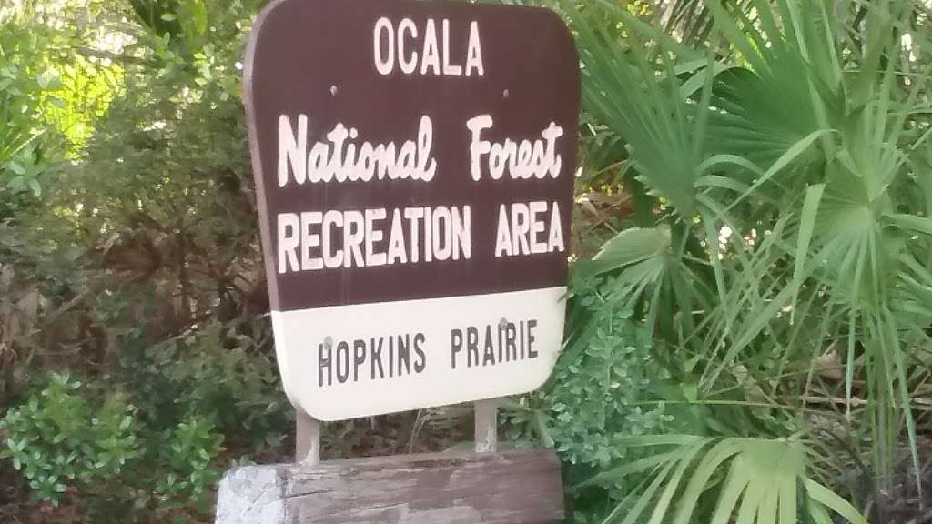 Hopkins Prairie Campground | Fort McCoy, FL 32134, USA