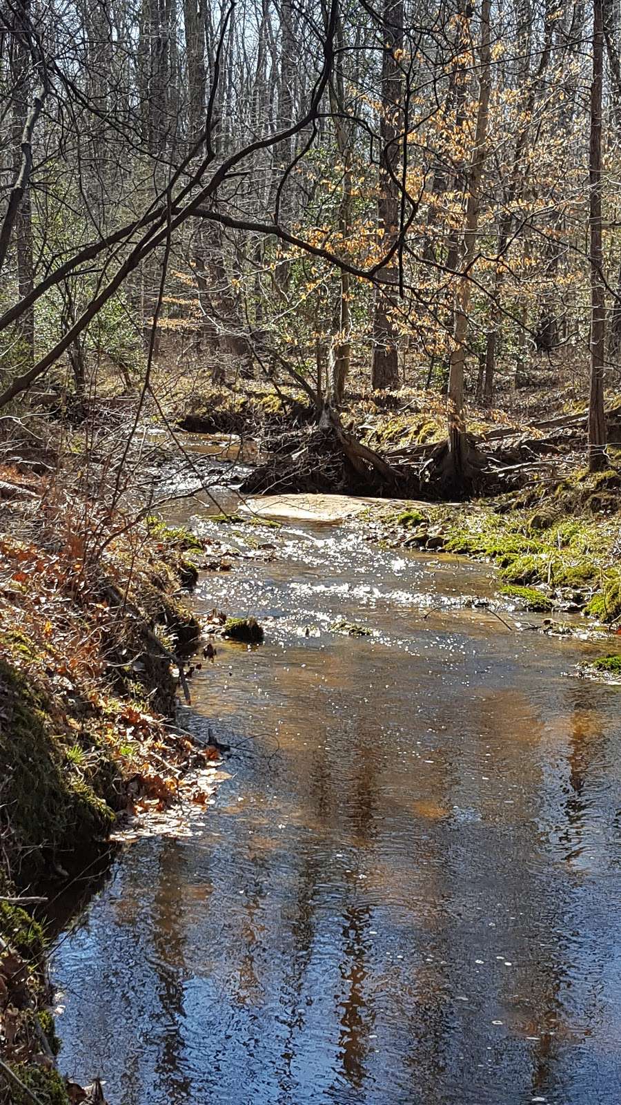 Poor Farm Park | 13400 Liberty School Rd, Ashland, VA 23005, USA | Phone: (804) 275-0722