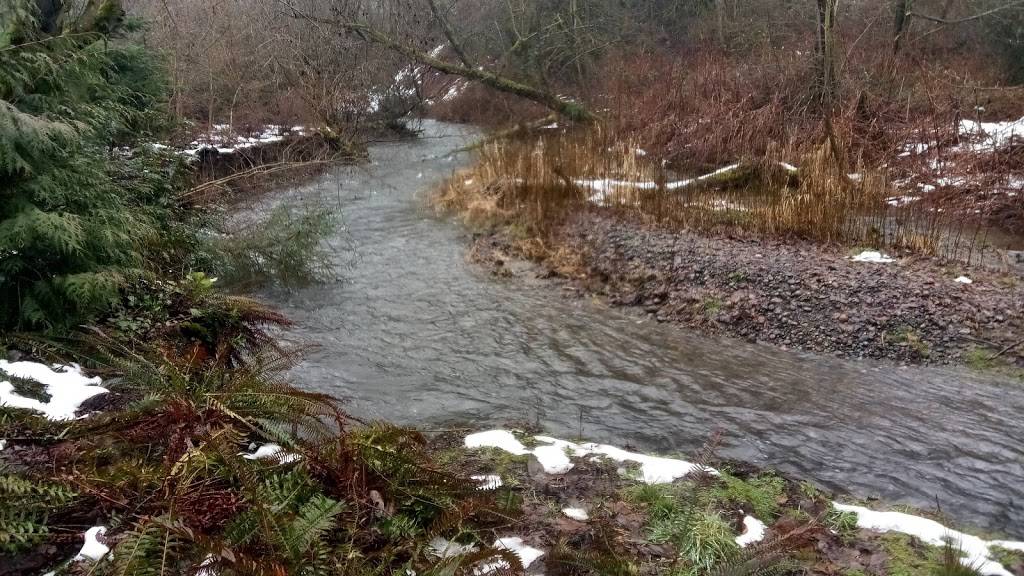 May Creek Trail | 4260 Lake Washington Blvd N, Renton, WA 98056, USA | Phone: (206) 477-4527