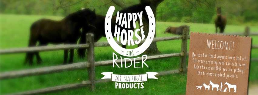 Happy Horse & Rider | 177 Old Boston Rd, Wilton, CT 06897, USA | Phone: (203) 762-2851