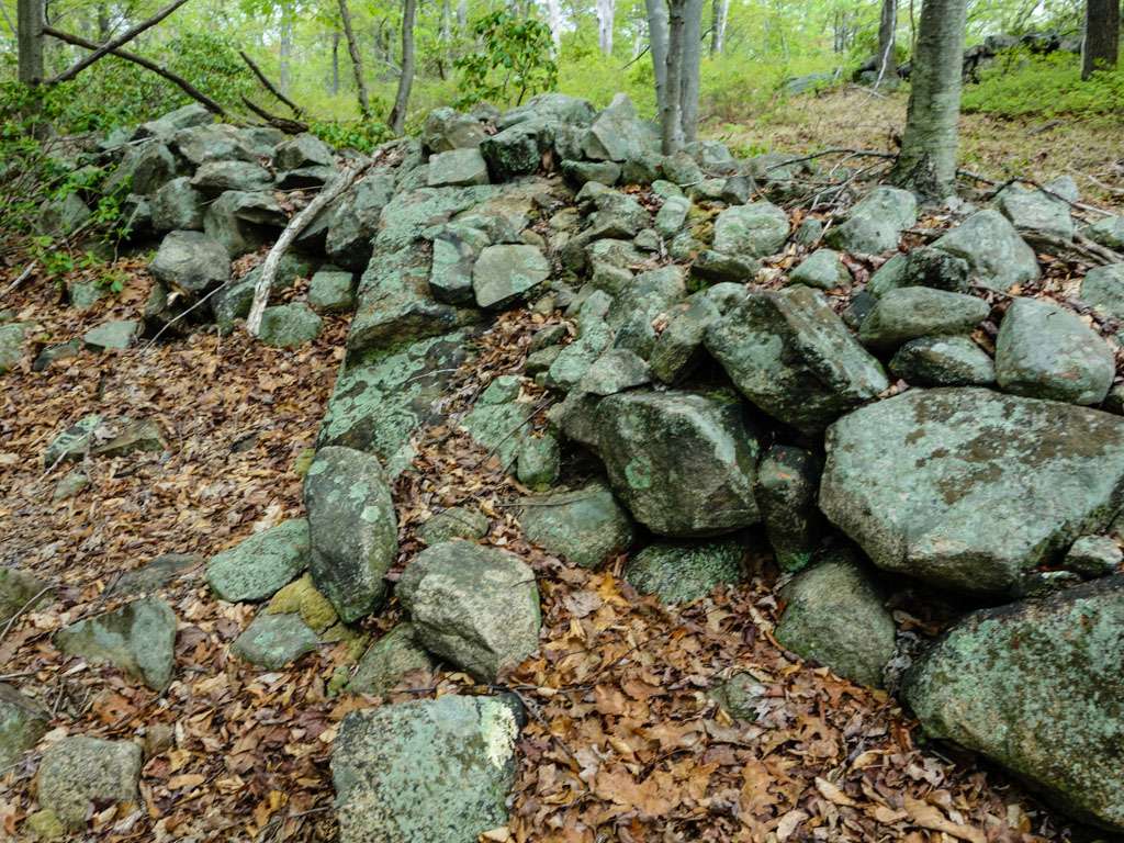 Valley of Dry Bones | Ramapo, NY 10901