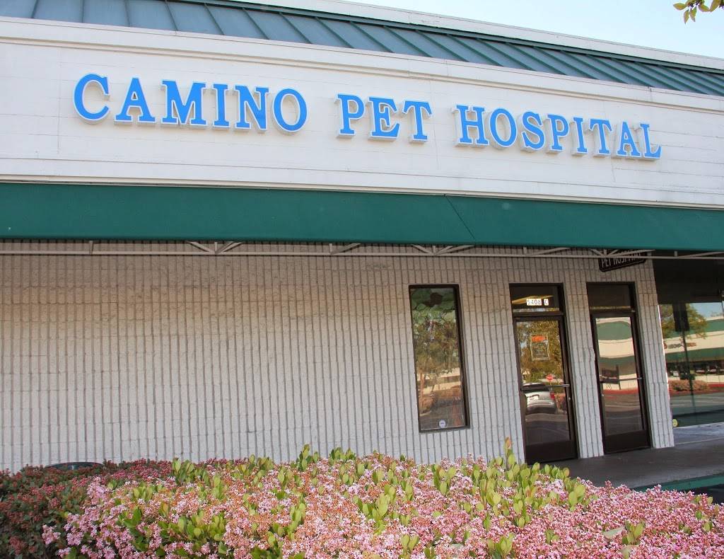 Camino Pet Hospital | 5408 Walnut Ave, Irvine, CA 92604, USA | Phone: (949) 559-1404