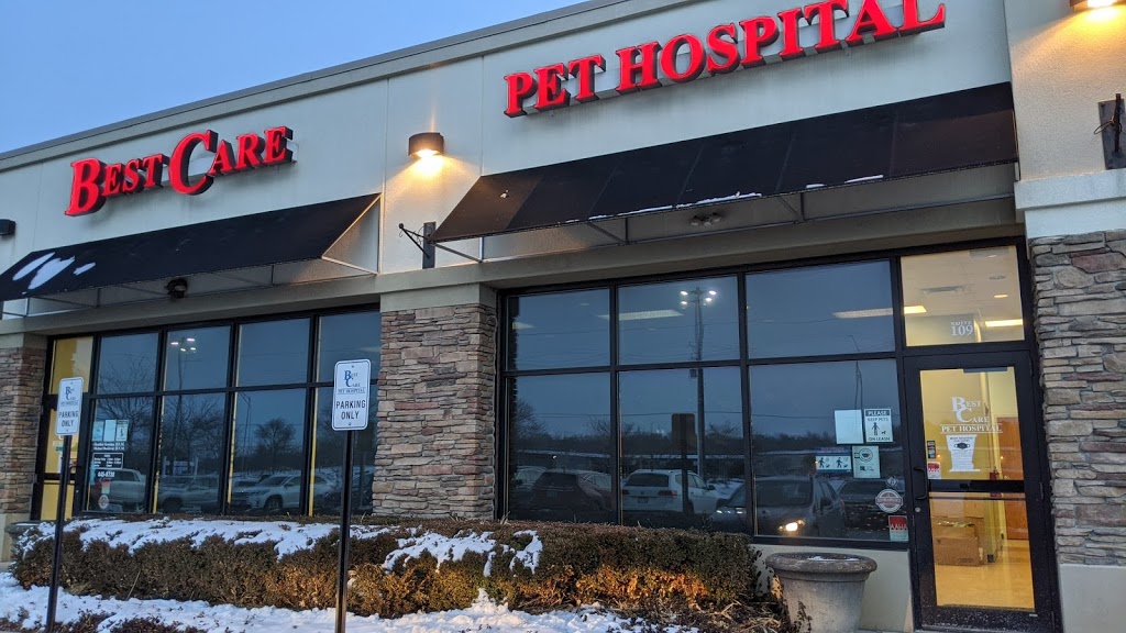 Best Care Pet Hospital | 4915 N 120th St #8, Omaha, NE 68164, USA | Phone: (402) 445-8738