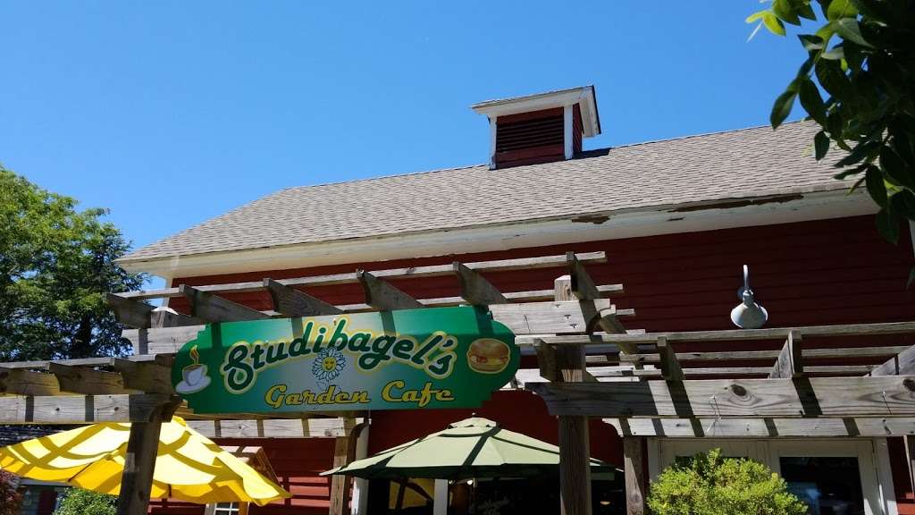 Studibagels Garden Cafe | 1943 Rt 9 North, bldg 4, Cape May Court House, NJ 08210, USA | Phone: (609) 624-0080