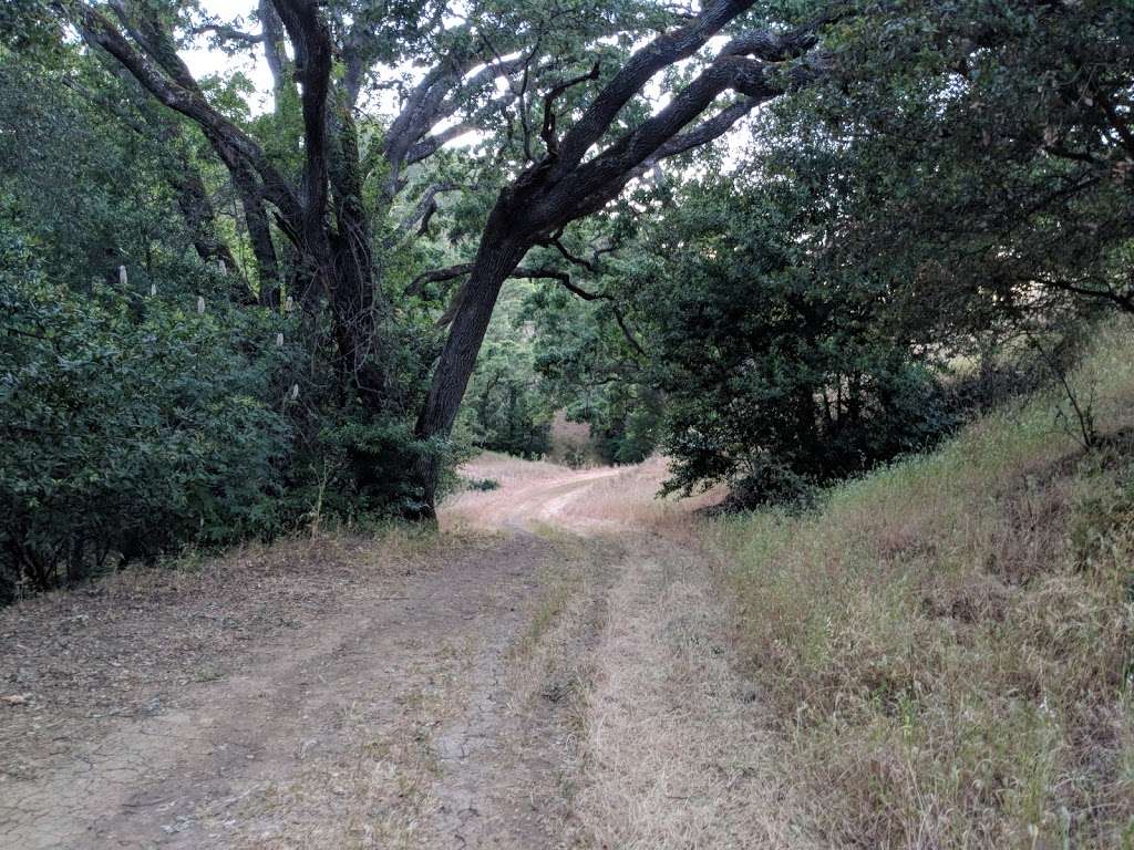 Nejedly Staging Area | Cal Riding & Hiking Trail, Martinez, CA 94553, USA | Phone: (510) 633-0460