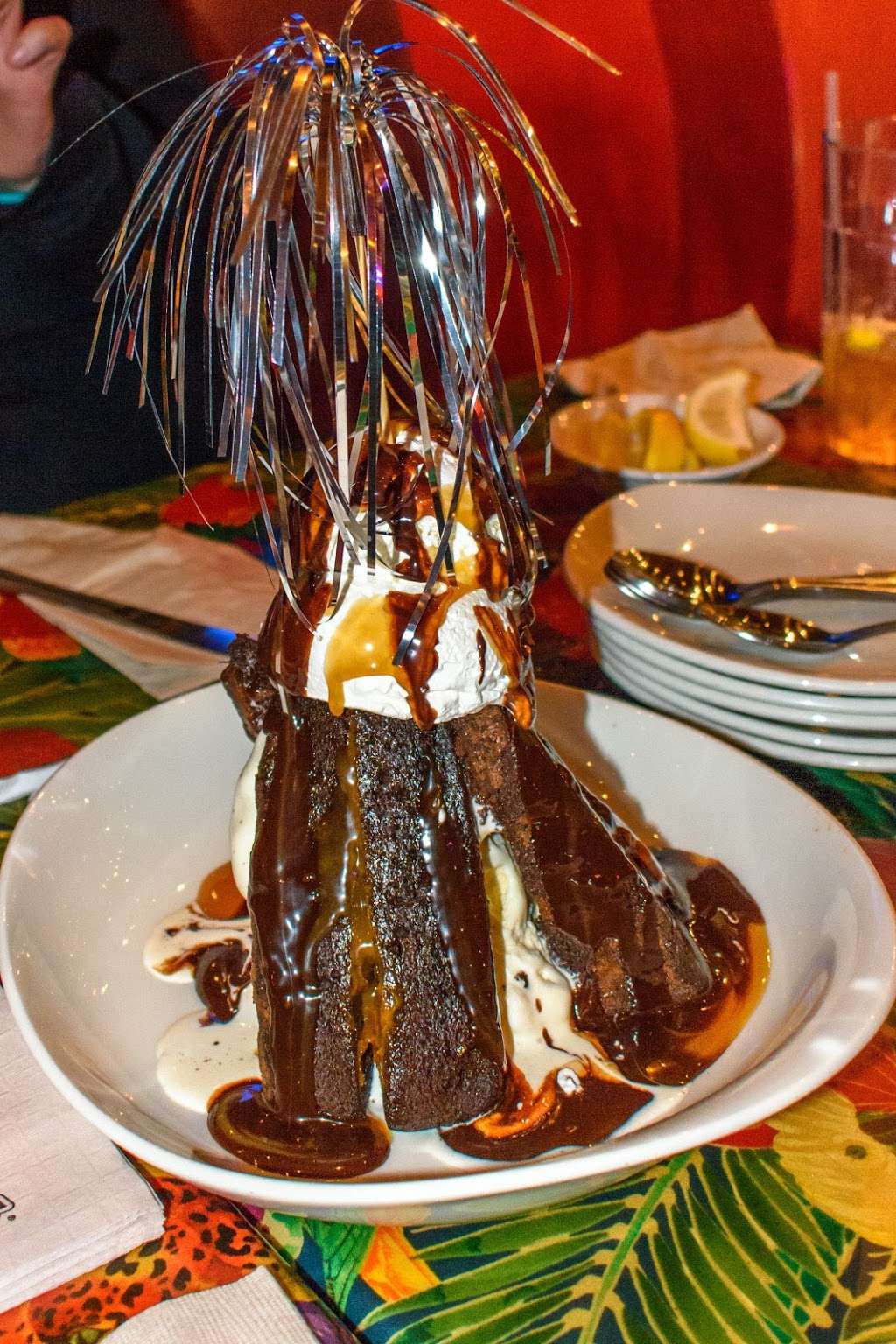 Rainforest Cafe | 505 Rain Forest Rd, Lake Buena Vista, FL 32830, USA | Phone: (407) 938-9100 Rainforest Cafe | 505 Rain Forest Rd, Lake Buena Vista, FL 32830, USA | Phone: (407) 938-9100