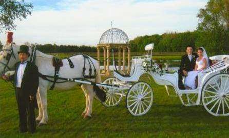 Buggies and Things Horse Drawn Carriage Service | 488 E 1000 N, Chesterton, IN 46304 | Phone: (219) 926-6936