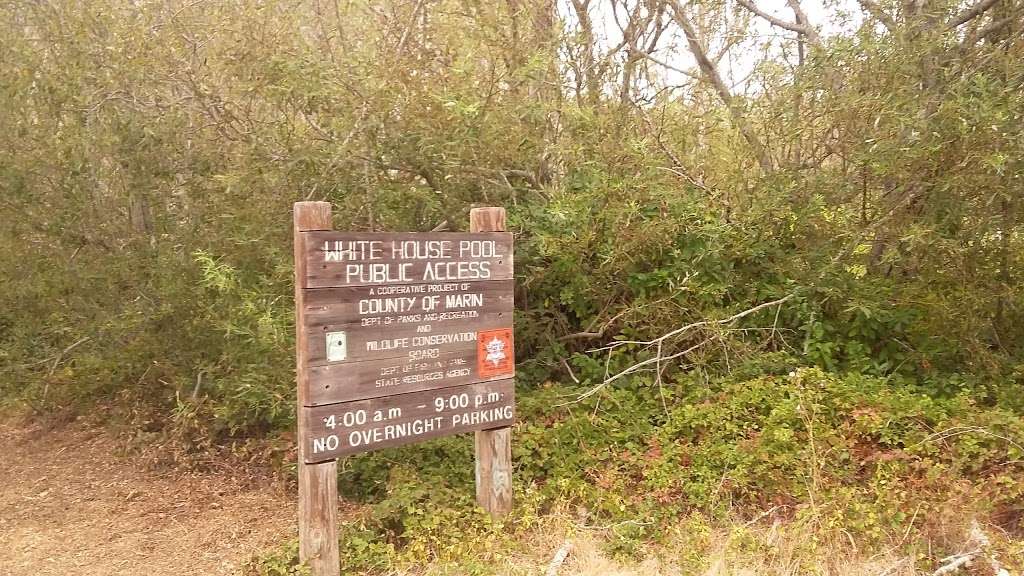 White House Pool Park | Sir Francis Drake Blvd, Point Reyes Station, CA 94956, USA | Phone: (415) 473-6387