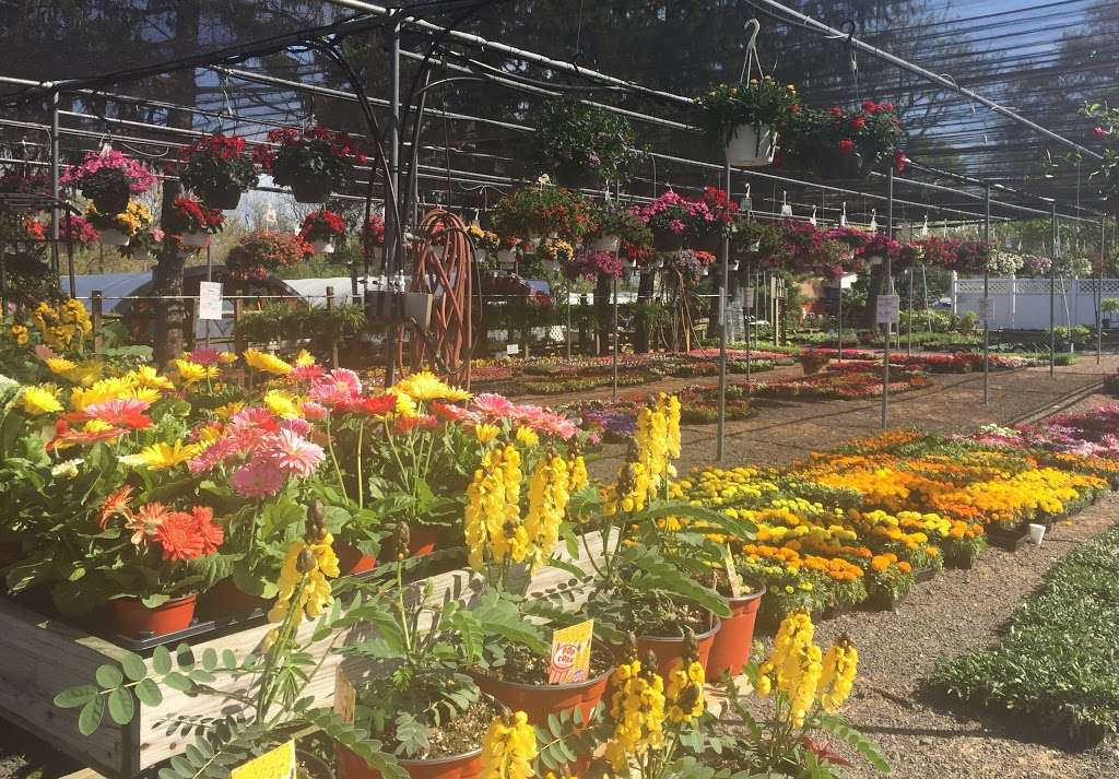 McCarter-Dallman Farm and Garden Center | 83 St Mihiel Dr, Delran, NJ 08075, USA | Phone: (856) 764-0468