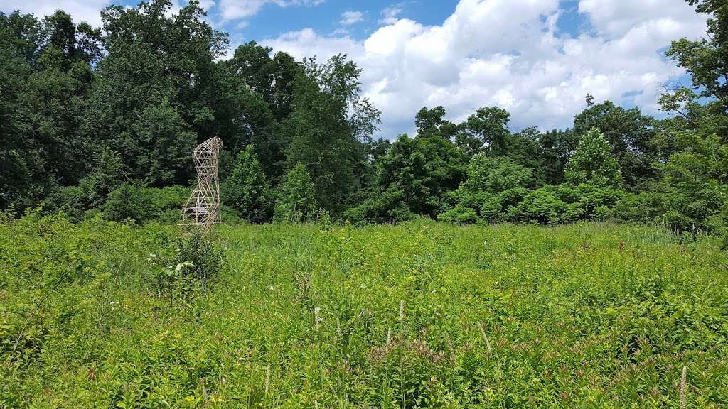 Wildflower and Forest Preserve | Bear Ln, Millburn, NJ 07041, USA