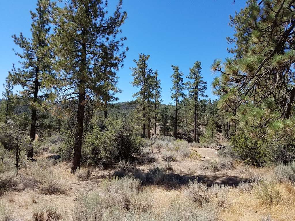 Pine Spring Campground | Maricopa, CA 93252, USA