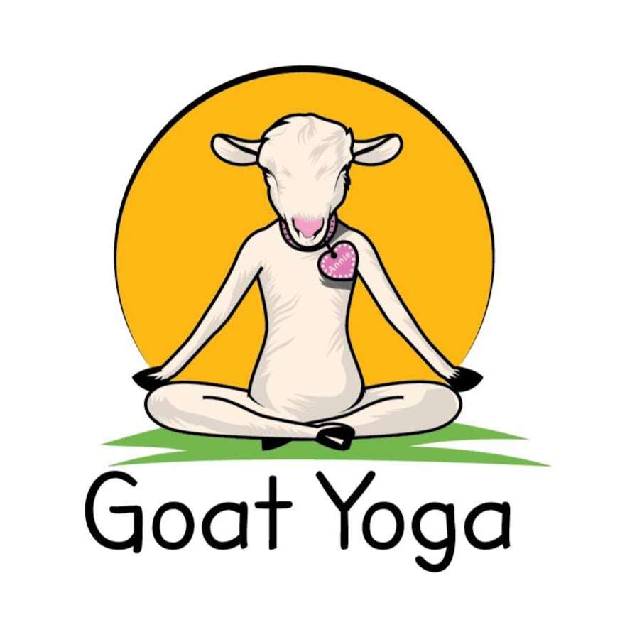 Original Goat Yoga Orlando FL | 725 Myrtle St, Sanford, FL 32773, USA | Phone: (888) 992-4628