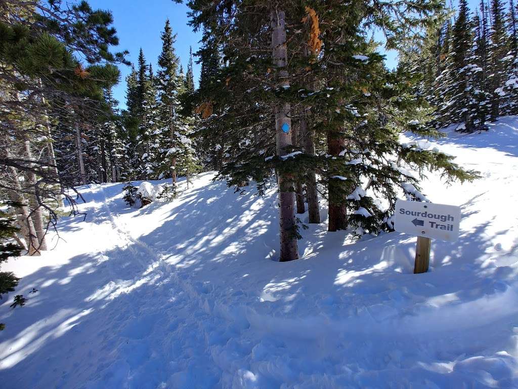 Sourdough Trail | Sourdough Trail, Nederland, CO 80466, USA