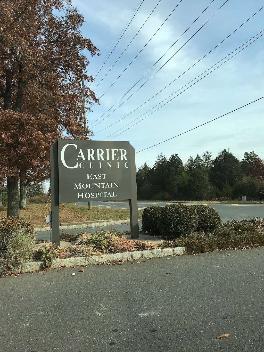 Carrier Clinic | 252 Co Rd 601, Belle Mead, NJ 08502, USA | Phone: (800) 933-3579