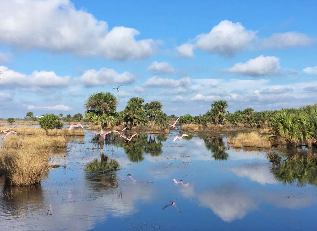 A-Awesome Airboat Rides | 1435-901 Cupid Ave, Christmas, FL 32709, USA | Phone: (407) 568-7601