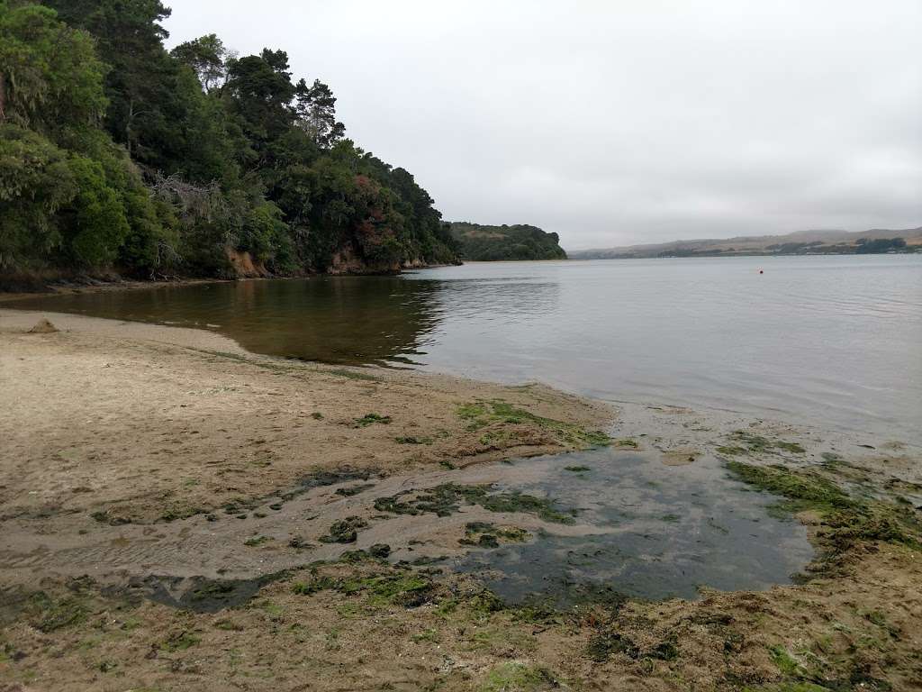 Tomales Bay State Park | 1100 Pierce Point Rd, Inverness, CA 94937, USA | Phone: (415) 669-1140