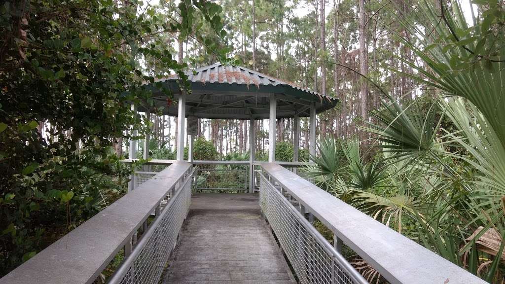Saw Palmetto Natural Area | 7097 NW 71st St, Coconut Creek, FL 33073, USA | Phone: (954) 357-5100