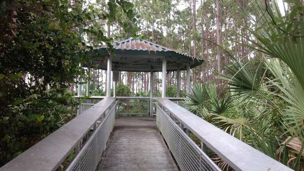 Saw Palmetto Natural Area | 7097 NW 71st St, Coconut Creek, FL 33073 | Phone: (954) 357-5100