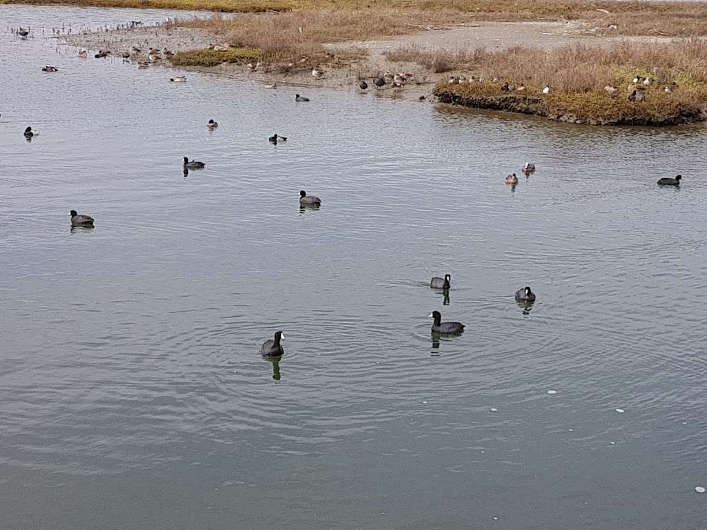 Newport Bay Marine Protected Area | Unnamed Road, Newport Beach, CA 92660, USA