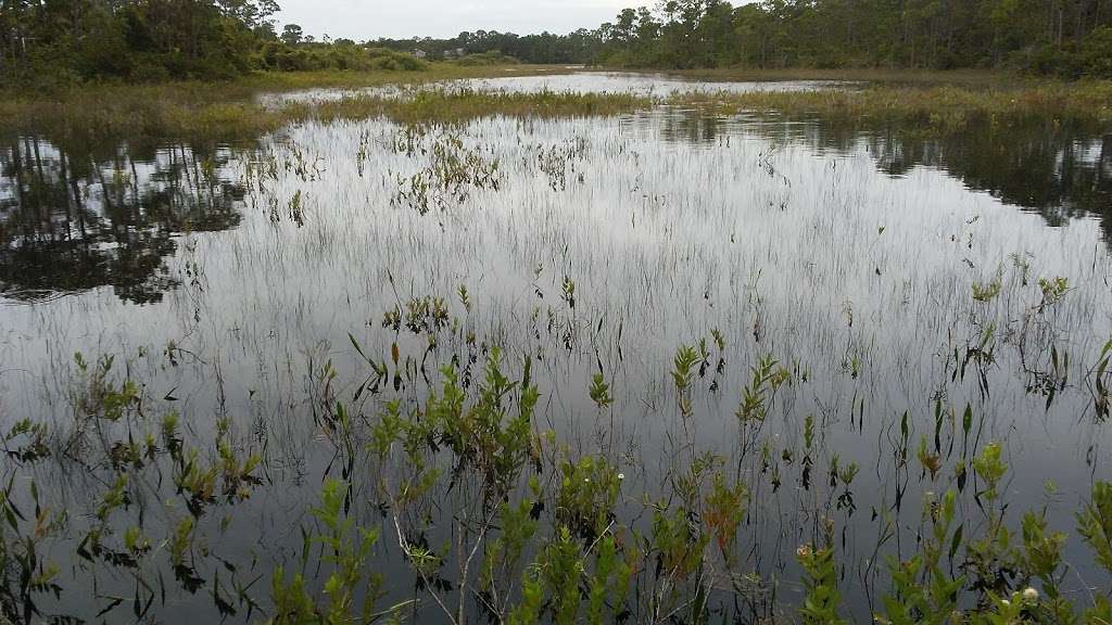 The Arbors | Forest Glade Trail, Hobe Sound, FL 33455, USA