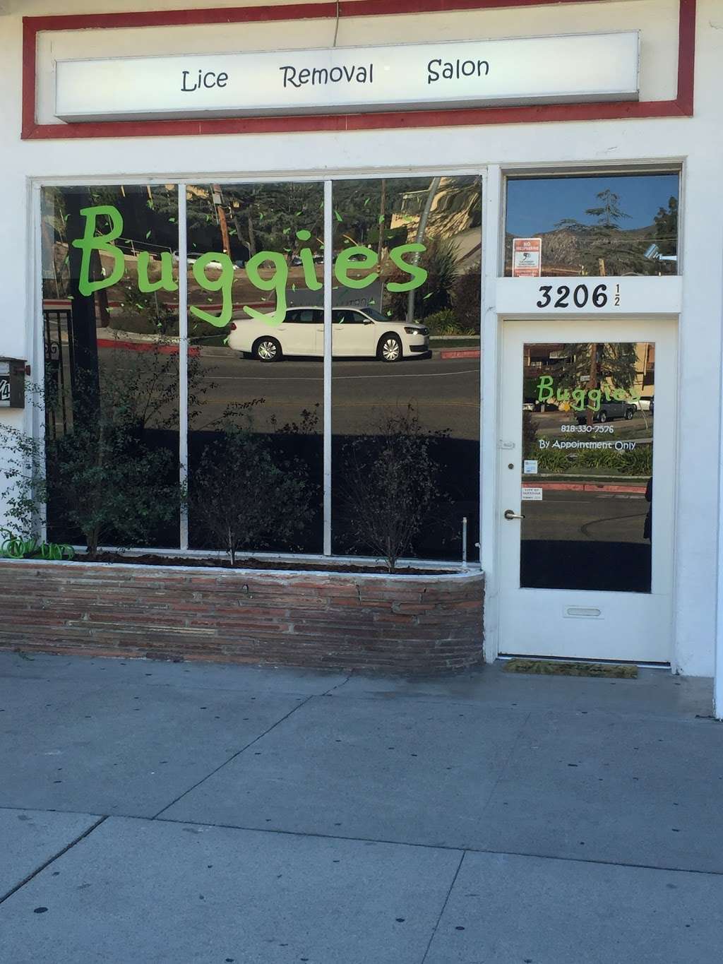 Buggies Lice Removal Salon | 3206 Honolulu Ave, Glendale, CA 91214 | Phone: (818) 330-7576