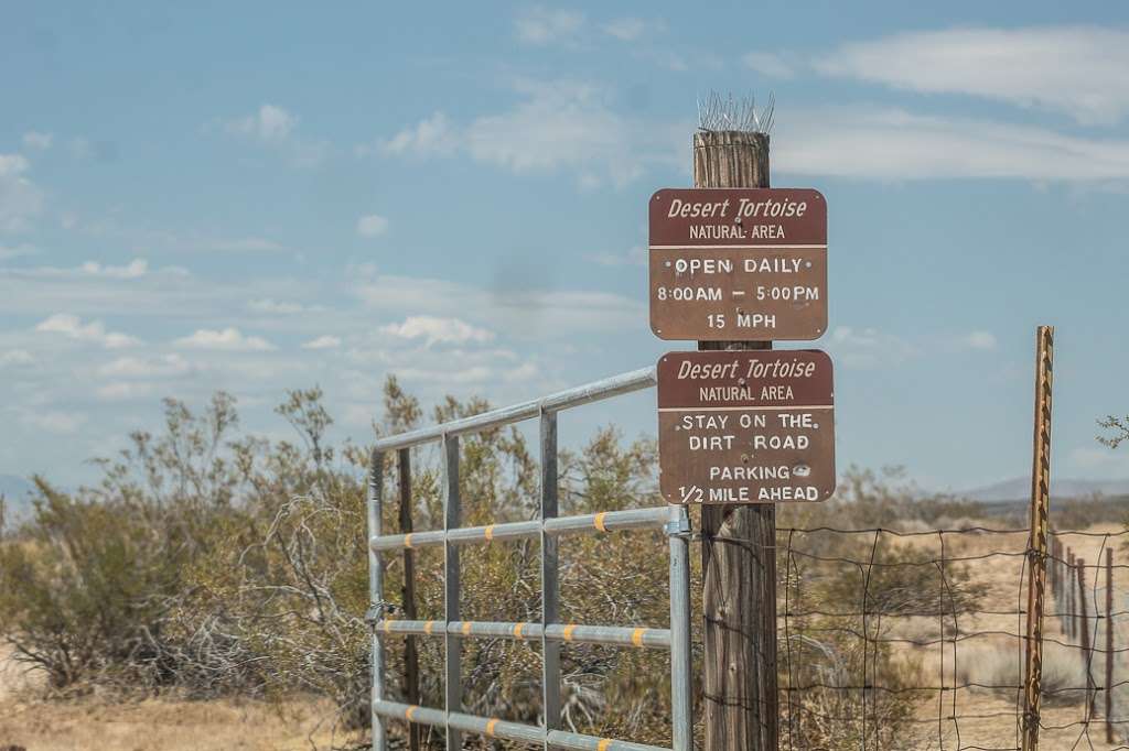 Desert Tortoise Natural Area | 140th St, California City, CA 93505, USA | Phone: (951) 683-3872