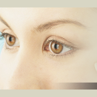 Finkel Lawrence J MD | 360 Church St, Warrenton, VA 20186, USA | Phone: (540) 347-2020