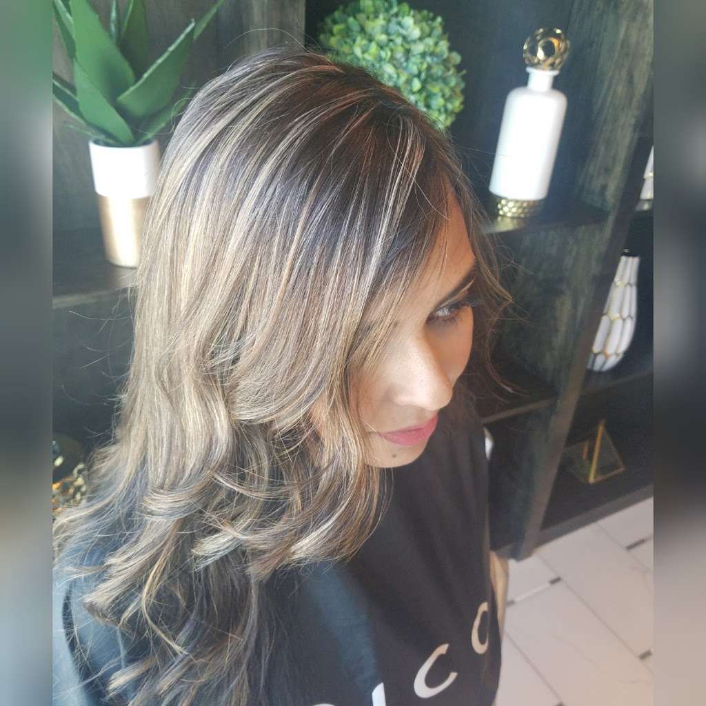 HAIR By CHANDRA at Blue Lion Salon Studios | 4057 Riley Fuzzel Rd #700, Spring, TX 77386, USA | Phone: (832) 347-4855