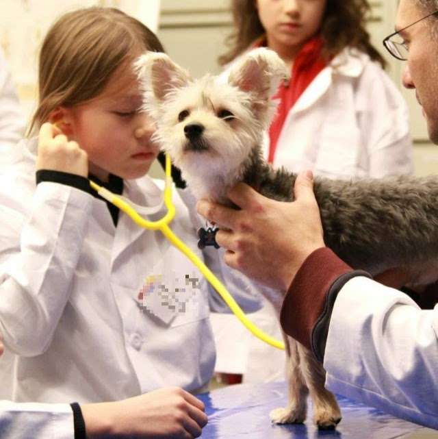 Little Vets After School Science Program | 193 Tarrytown Rd, White Plains, NY 10607, USA | Phone: (832) 377-5378