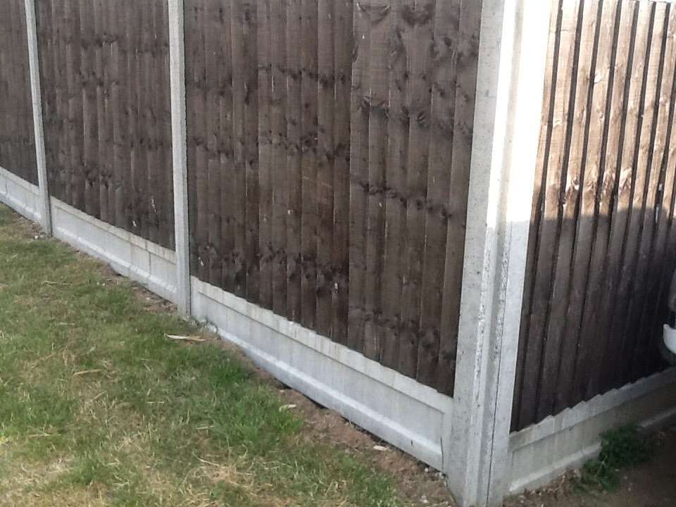 T P Garden Care | Westmill Rd, Ware SG12 0EW, UK | Phone: 07903 750953