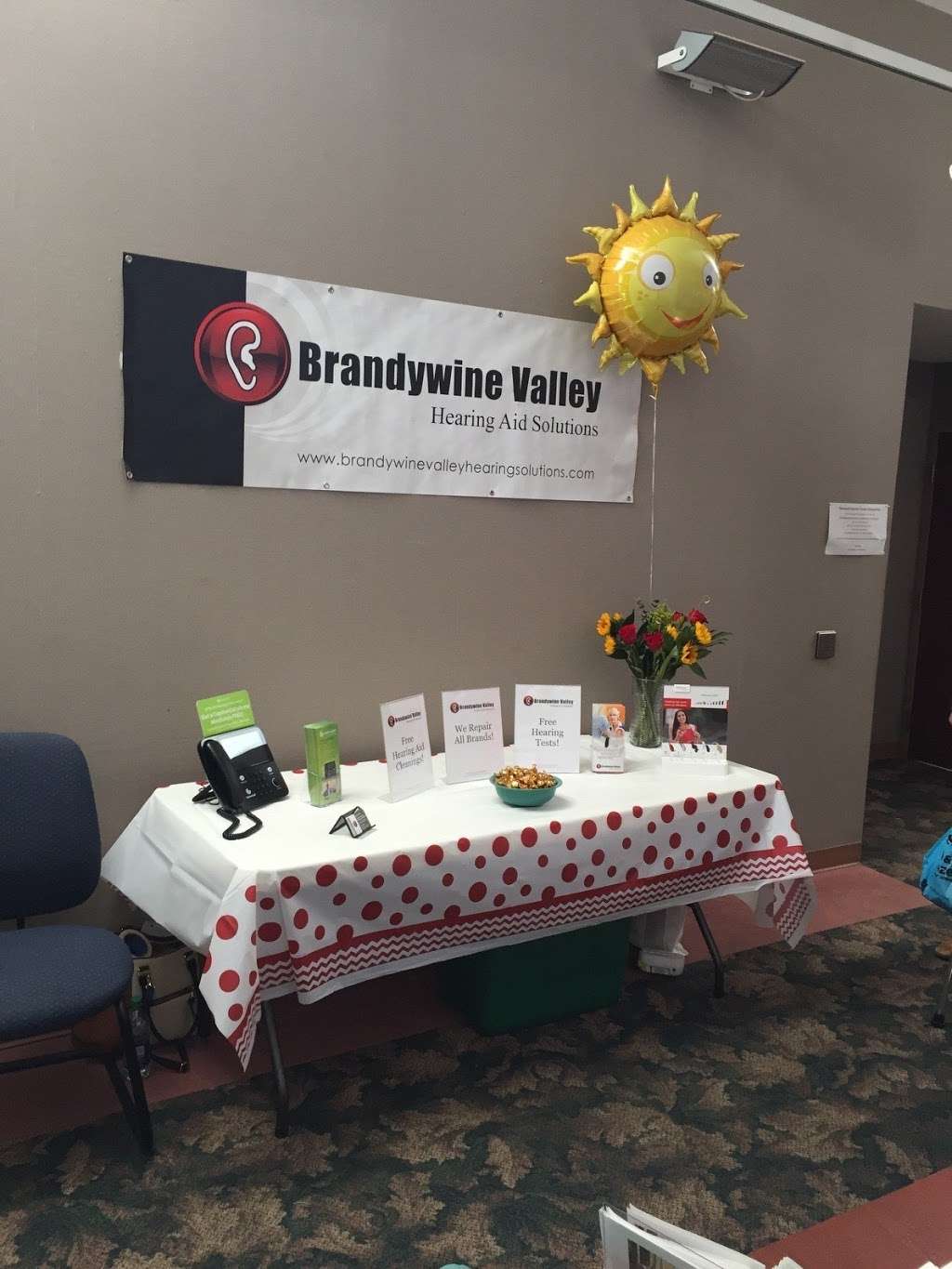 Brandywine Valley Hearing Aid Solutions | 512 Old Kennett Pike Suite 400, Chadds Ford, PA 19317 | Phone: (484) 770-8525