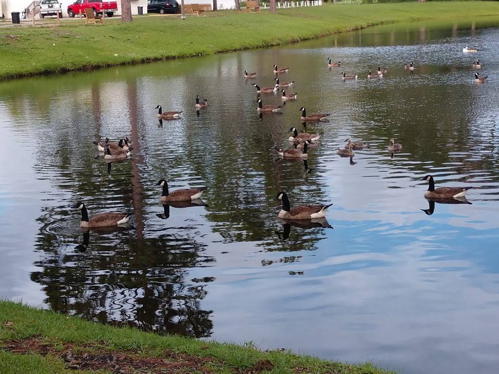 orange park North | 5291 Collins Rd, Jacksonville, FL 32244, USA | Phone: (904) 264-7131