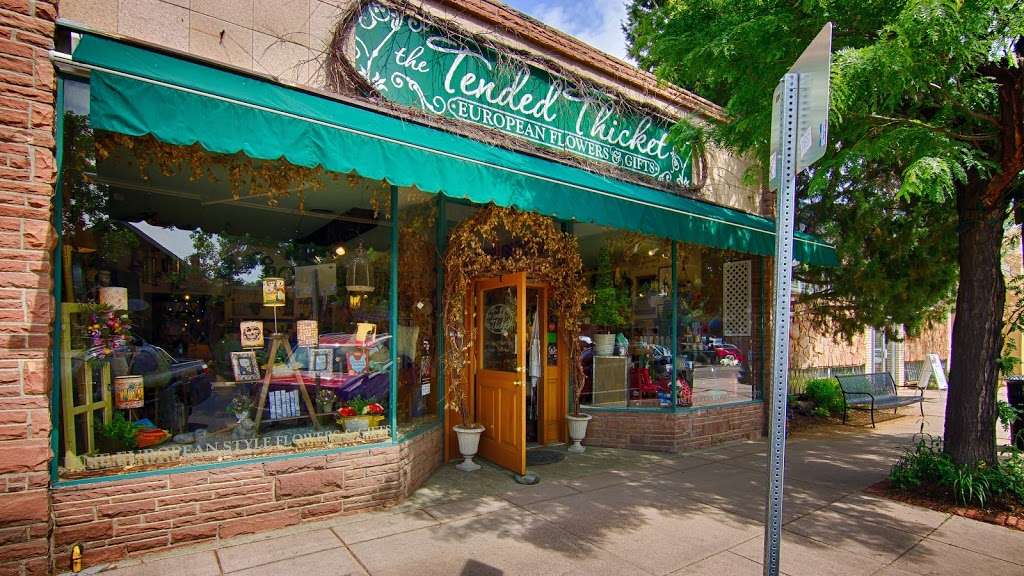 The Tended Thicket | 1034 S Gaylord St, Denver, CO 80209 | Phone: (303) 722-6815