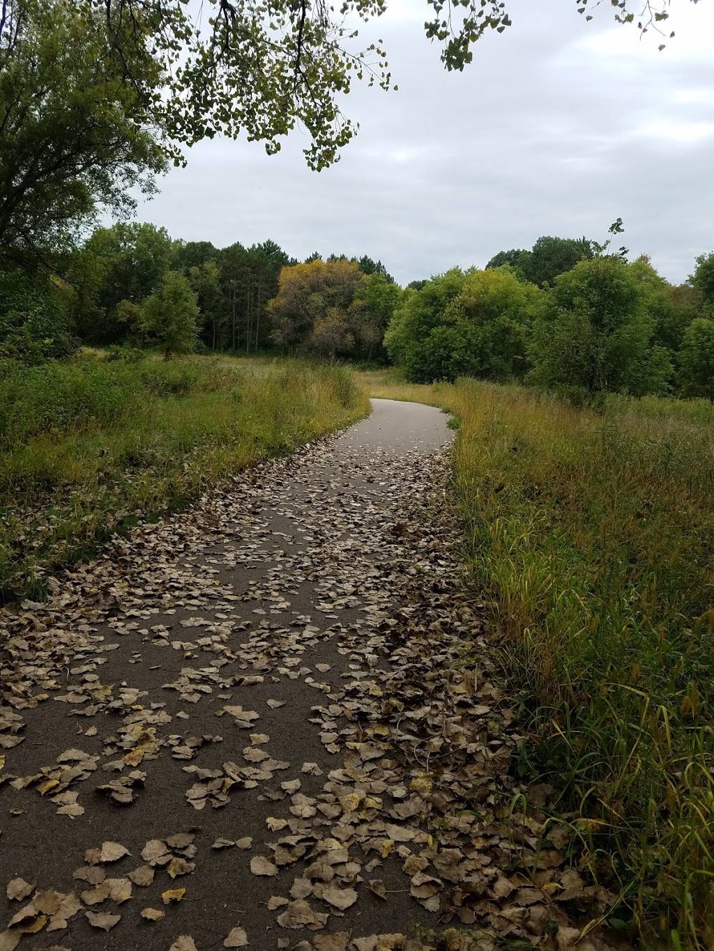 Fish Creek Natural Area | 2465-2475 Carver Ave, Maplewood, MN 55119, USA | Phone: (651) 249-2000