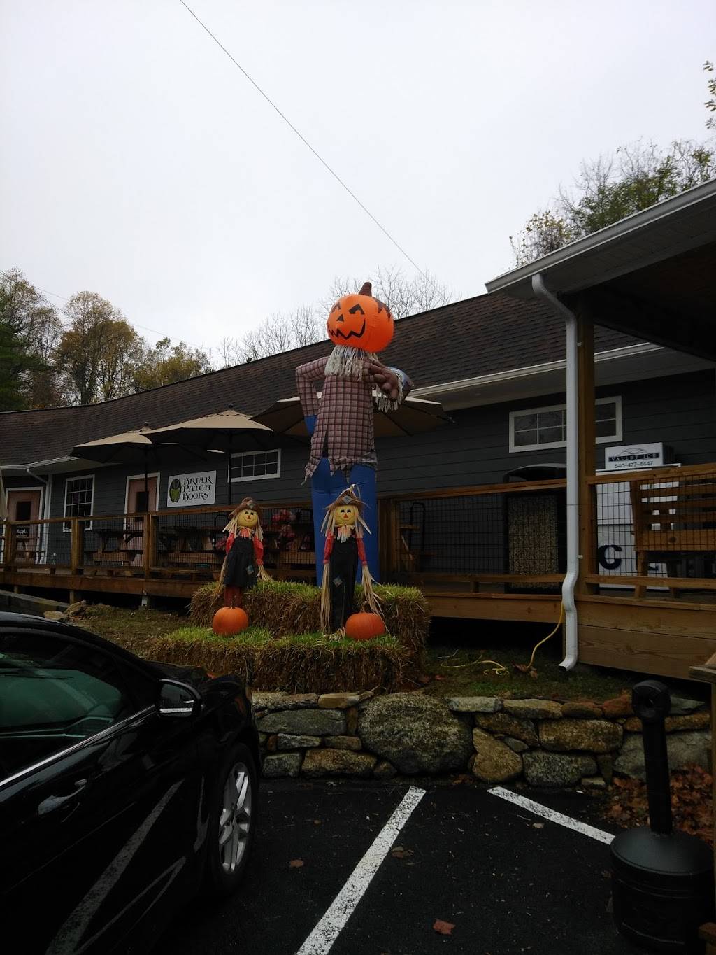 Briar Patch Books | 11669 Lee Hwy, Sperryville, VA 22740, USA