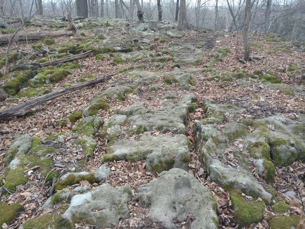 Appalachian Trail Boardwalk | Appalachian Trail, Glenwood, NJ 07418