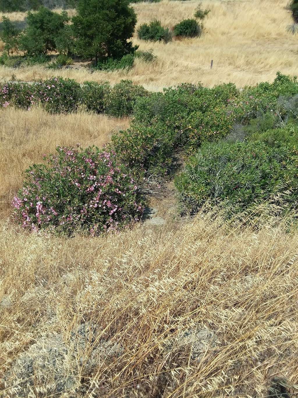 Briones Overlook staging area | Orinda, CA 94563, USA